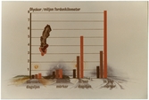 Grafik över när olyckor med fordon sker.