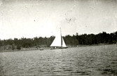 Segelbåt