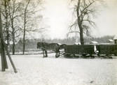 Hästdragna transportslädar, 1910-tal