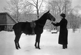 Person med sadlad häst, 1910-tal