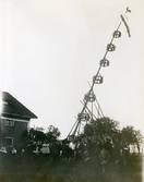 Midsommarstången reses med hjälp av starka armar, tjugor och pikar, 1910-tal