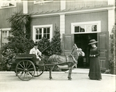 Mula med kusk och kärra på Bystad herrgård, 1910-tal