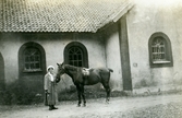 Kvinna vid stallbyggnad på Bystad herrgård, 1910-tal