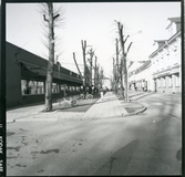 Sala sf.
Södra Esplanaden, 1975.