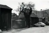 Gårdshus i kvarter Magistern 7, Proviantgatan 17, ännu bebott i maj 1971.