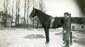 Man vid häst på Färna herrgård, 1912