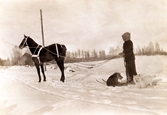 Skidåkare med häst på Färna herrgård, 1912