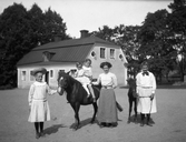 Damer med hästar på Färna herrgård, 1913