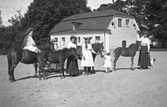 Grupp med hästar och föl på Färna herrgård, 1913