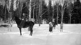 Skidåkning efter häst på Färna herrgård, 1913