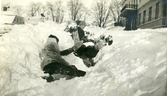 Lek i snön på Färna herrgård, 1913