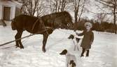 Pojke med häst på Färna herrgård, 1913