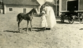 Kvinna och barn med föl på Färna herrgård, 1913