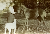 Fröken Greta Bergman med Grålle och Lotta på Färna herrgård, 1913