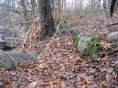 En slänt med träd, höstlöv och uppradade stenar ner mot Mölndalsfallen i Grevedämmet, Mölndal år 2011. Stensjön skymtas i bakgrunden till vänster. Dokumentation inför ombyggnation. Relaterade motiv: 2024_1365 - 1412.