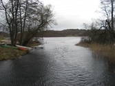 Vy söderut från forsen mot Stensjön, Grevedämmet i Mölndal år 2011. Några ekor ligger upplagda på gräset. Området är omgärdat av växtlighet. Dokumentation inför ombyggnation. Relaterade motiv: 2024_1365 - 1412.