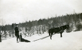 Kälkfärd efter häst vid Ulvshyttans herrgård, påsken 1915