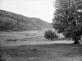 Natur vid träningsläger, 1930-tal