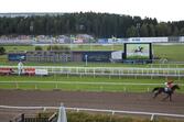 Täby galopp