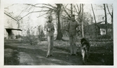 Två officerare med hund på Färna herrgård, ca 1920