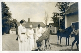 På stallbacken vid Färna herrgård, ca 1920