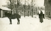 Tolkning efter häst på Färna herrgård, ca 1920