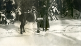 Kvinna på hästfärd i vinterskog vid Färna herrgård, ca 1920