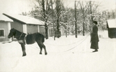 Tolkning efter häst vid Färna herrgård, ca 1920