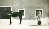 Tolkning efter häst på stallbacken vid Färna herrgård, ca 1920