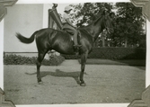 Mary Gripenstedt på hästen Svarta Kobran, ca 1932