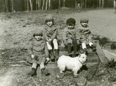 Fyra barn med hund vid Färna herrgård, 1927