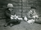 Barn med hundvalpar på Färna herrgård, 1928