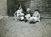 Anna Gripenstedt med barn och hundar med valpar på Färna herrgård, 1928