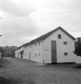 Hamngatan 1951