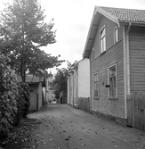 Badstugränd 1951