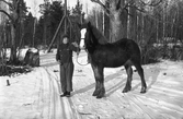 Pojke med häst vid Karlstorp, 1930-tal