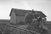 Hölass på häst och kärra vid Karlstorp, 1940-tal