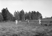 Skördearbete i Karlstorp, 1940-tal