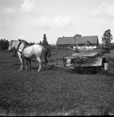 David Karlsson med självbindare på hemmaplan, 1940-tal