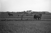 Plöjning med häst i Karlstorp, 1940-tal