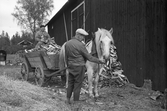 Häst med vedlass i Karlstorp, 1950-tal