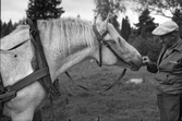 David Karlsson med häst i Karlstorp, 1950-tal