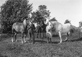 Hästar i Karlstorp, 1940-tal