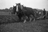 Plöjningstävling med häst i Karlstorp, 1940-tal