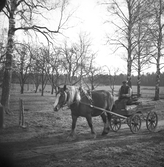 Man med häst och vagn vid Karlstorp, 1940-tal