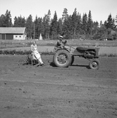 Harvning med traktor i Karlstorp, 1940-tal