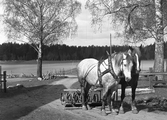 Hästar med harv i Karlstorp, 1940-tal