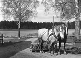 Hästar med harv i Karlstorp, 1940-tal