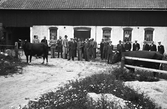 Djurauktion på Bärsta gård, 1940-tal