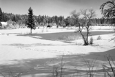 Charles Anderssons hus i Norrbyås, 1950-tal